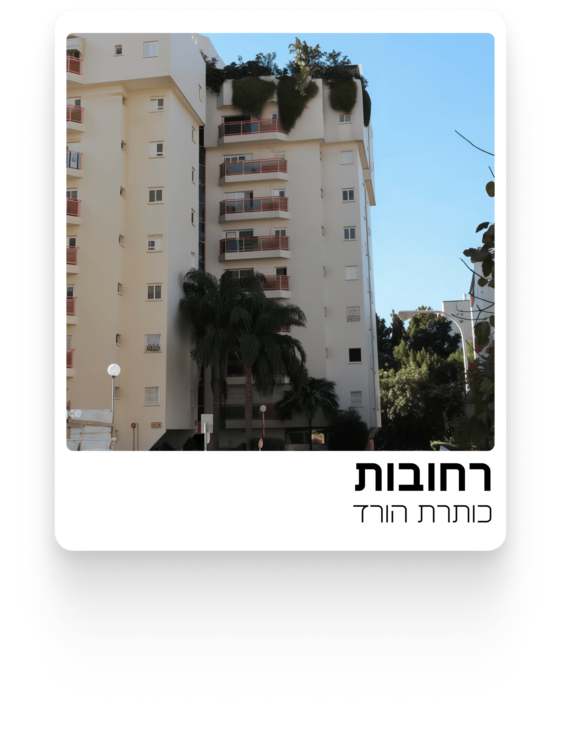 _אוטו לאיוט 5-min